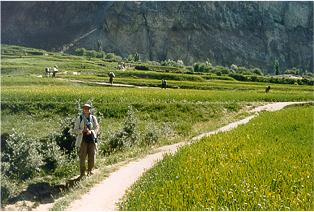 Idyllic fields at Askole