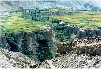 Hispar Village, the greenness a rich contrast to the barren surroundings